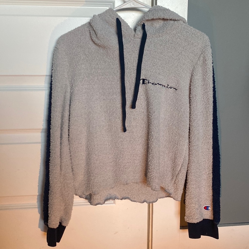 champion cropped sweater